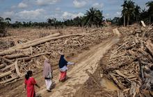 RI Nomor Tiga Paling Rawan Bencana, Indonesia Re Soroti Penguatan Proteksi Finansial