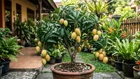 7 Cara Memangkas Pohon Mangga agar Cepat Berbuah, Panen Melimpah Sepanjang Tahun