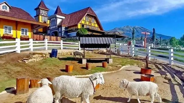 Cepogo Cheese Park