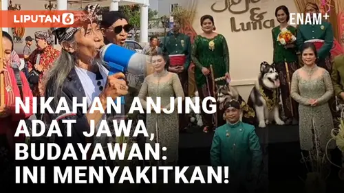 VIDEO: Video Nikahan Anjing Beradat Jawa Dikritik Kelompok Penggiat Budaya di Yogyakarta