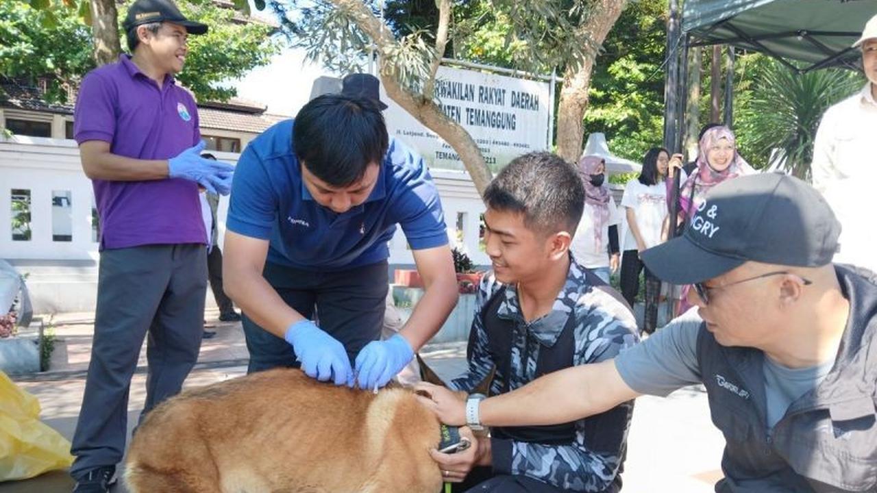 Tahukah Anda? Temanggung Masih Bebas Rabies! DKP3 Gelar Vaksinasi Rabies Gratis 2025 untuk Ratusan Hewan Peliharaan