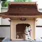 Miniatur kuil untuk rumah anjing (Sumber: YouTube/INUDONO)