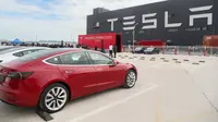 Foto yang diabadikan pada 26 Oktober 2020 ini menunjukkan kendaraan Tesla Model 3 yang diproduksi di China (made in China) di gigafactory Tesla yang terletak di Shanghai, China timur. (Xinhua/Ding Ting)