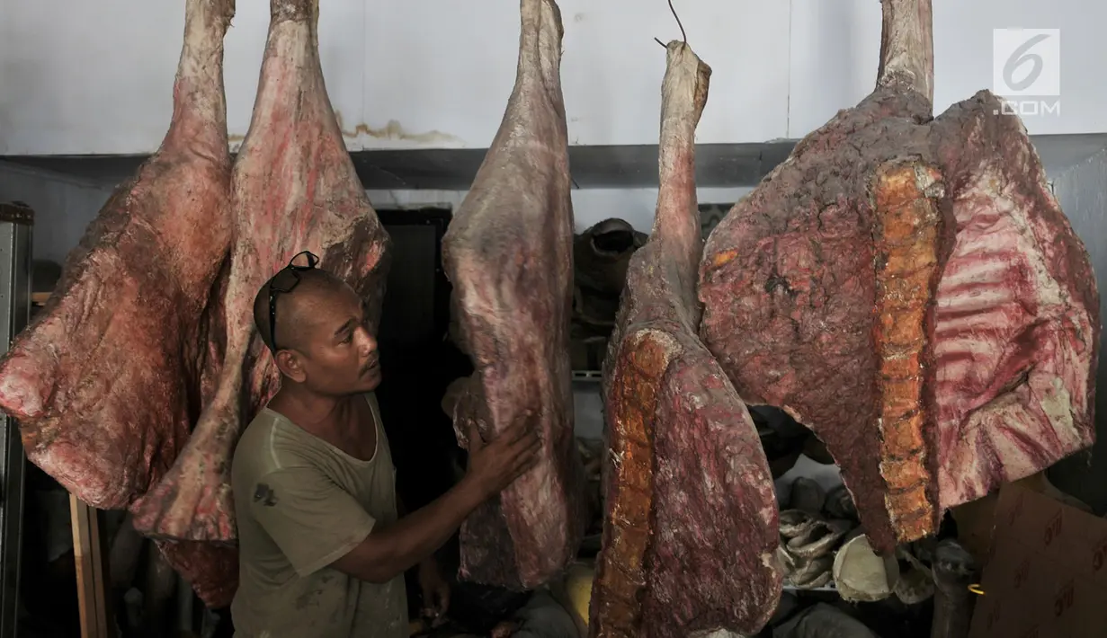 Kocom menunjukkan daging buatan di kawasan Bekasi, Jawa Barat, Senin (24/9). Boneka prostetik buatan Kocom  juga telah digunakan di Indonesia maupun mancanegara seperti di Belanda, Australia, Jepang, dan Swiss. (Merdeka.com/ Iqbal S. Nugroho)