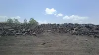 Tumpukan batu bara ilegal yang berada di kawasan pembangunan jalan tol IKN segmen Kariangau Km 13 Balikpapan terhampar dan siap diangkut. (Liputan6.com)