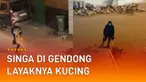 Seorang pria terekam kamera warga lakukan hal yang tak lazim.