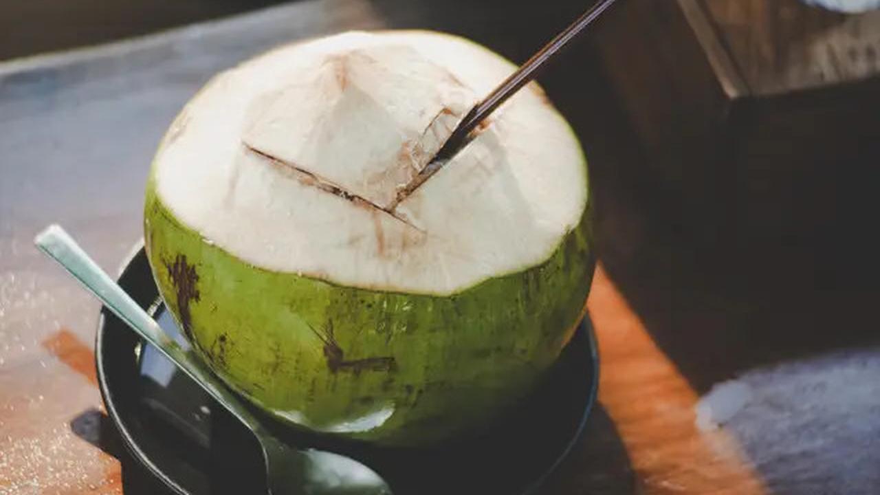 Minum Air Kelapa Muda, Cara Alami Redakan Kolesterol dan Asam Urat