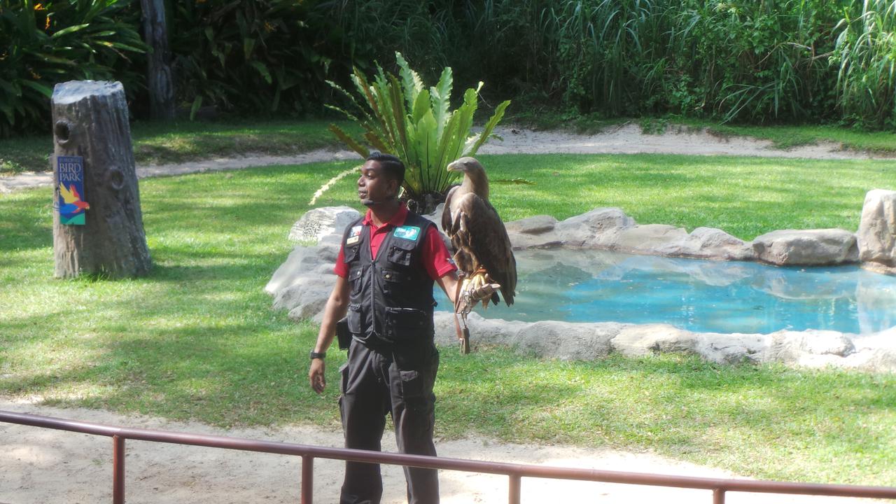 Jurong Bird Park & Safari Night SIngapore 0115 10