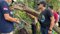 Misteri Penemuan Kerangka Manusia dalam Pohon Aren di Serdang Bedagai: Ada Kaos, Gelang, hingga HP Nokia
