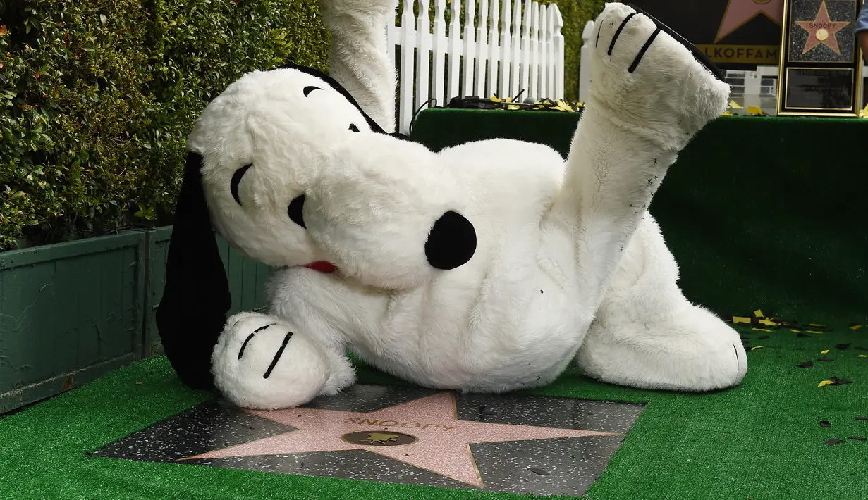 Snoopy berpose  di Hollywood Walk of Fame pada upacara penghargaan di California, Senin (2/11). Film terbaru  berjudul  The Peanuts Movie  dirilis pada 6 November di AS untuk merayakan hari jadi Snoopy dan Charlie Brown. (AFP PHOTO/Robyn Beck)