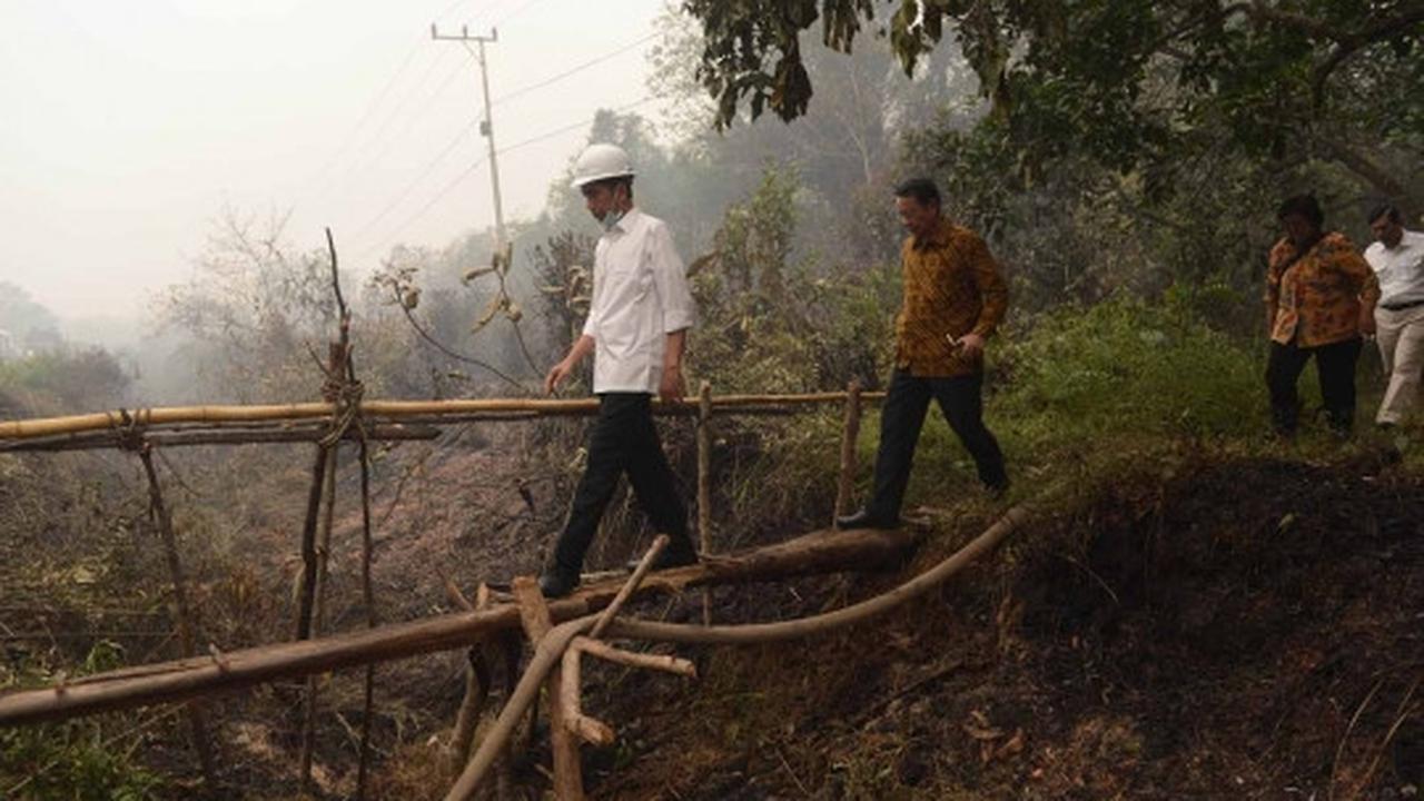 Aksi Jokowi terus pantau pemadaman lahan gambut di Kalimantan