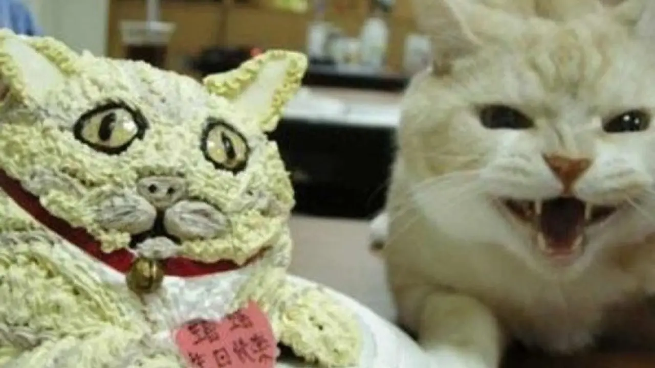 Kocak, 6 Potret Kue Mirip Hewan Ini Tak Sesuai Ekspektasi