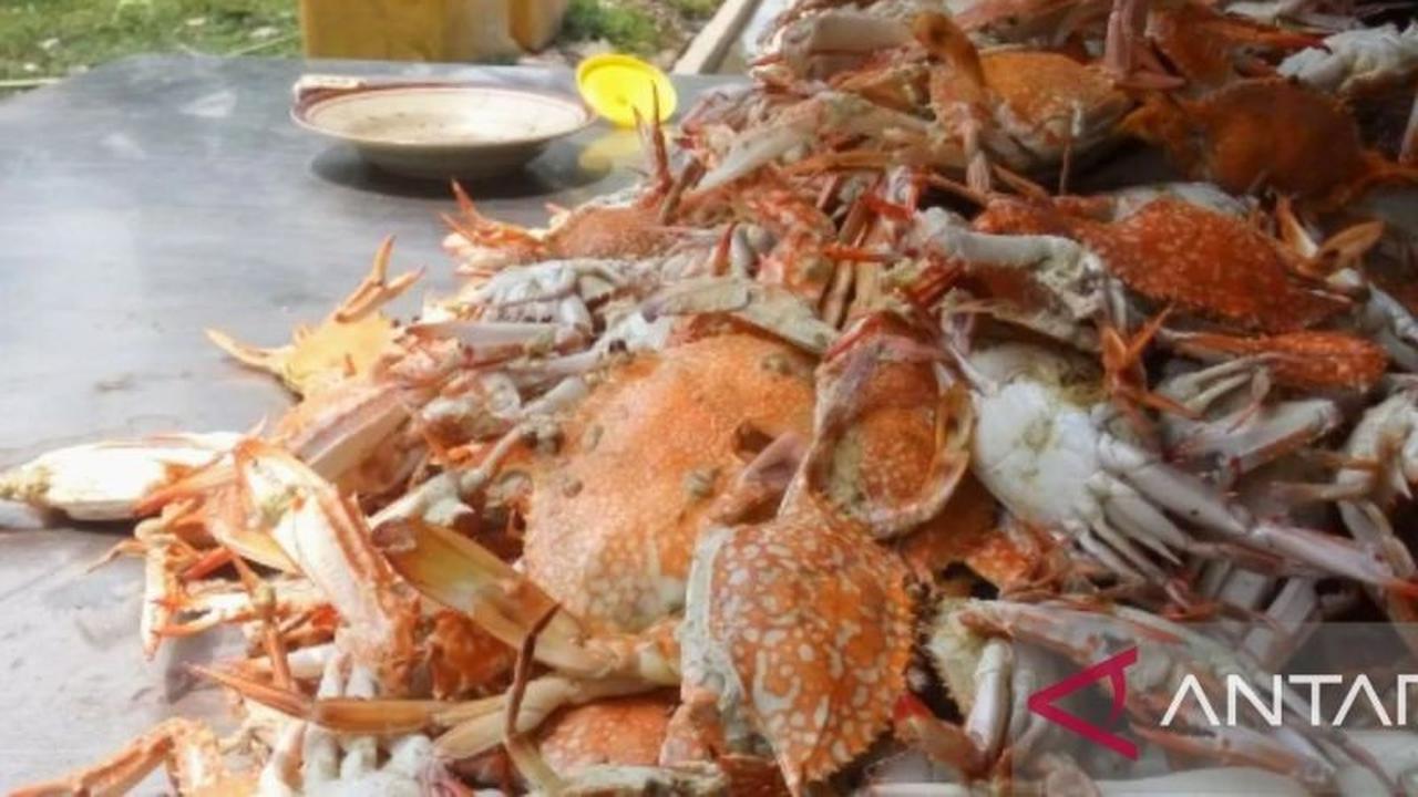 PHE ONWJ dan Warga Karawang Ubah Limbah Cangkang Rajungan Jadi Pupuk Cair Berkualitas Tinggi