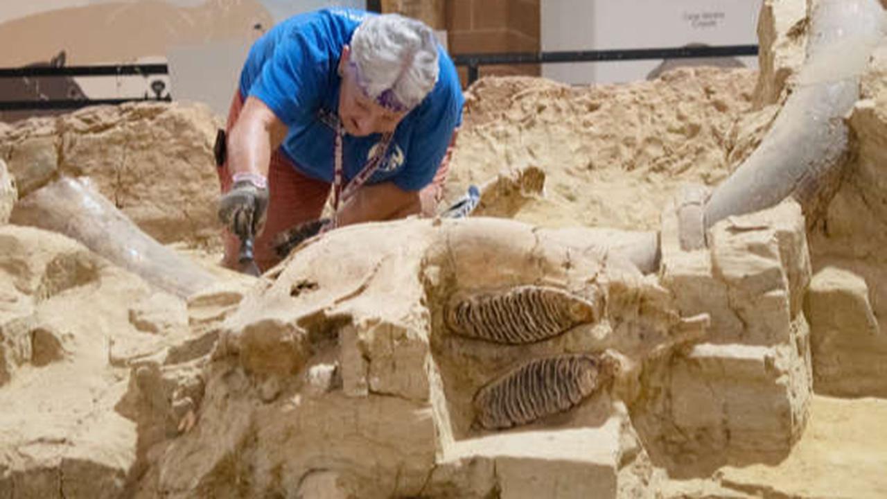 Museum Situs Mamut di Black Hills, South Dakota, Amerika Serikat.