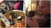 7 Potret Aksi Kucing Mencuri Makanan Ini Bikin Geleng Kepala