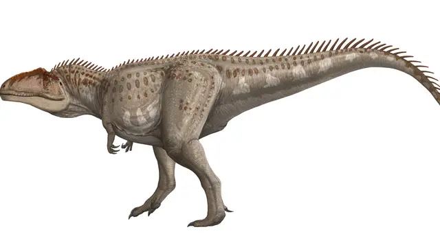 ilustrasi giganotosaurus