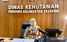 Tahukah Anda? Dishut Kalsel Perluas Pasar HHBK Binaan Lewat 'Rimba Mart' di Hutan Hujan Tropis Indonesia