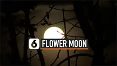 THUMBNAIL moon
