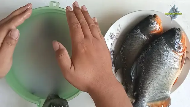 Hanya dengan Cucian Beras, Ini Cara Hilangkan Bau pada Ikan Bawal