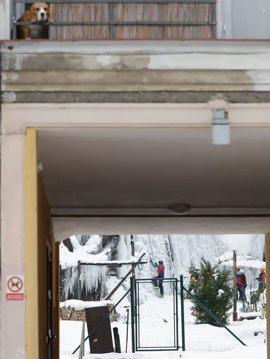 Orang-orang memanjat dinding es buatan di kota Liberec, Republik Ceko, Minggu (27/1). Meski buatan, tidak sembarang orang bisa menaklukkan tebing es tersebut. (AP Photo/Petr David Josek)