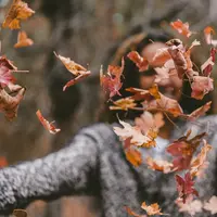 Ilustrasi Mimpi Dilempar Batu Credit: unsplash.com/Jacob