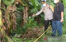Polisi Selidiki Penemuan Mayat Tanpa Identitas di Kebun Pisang Tangerang, Warga Cium Aroma Menyengat