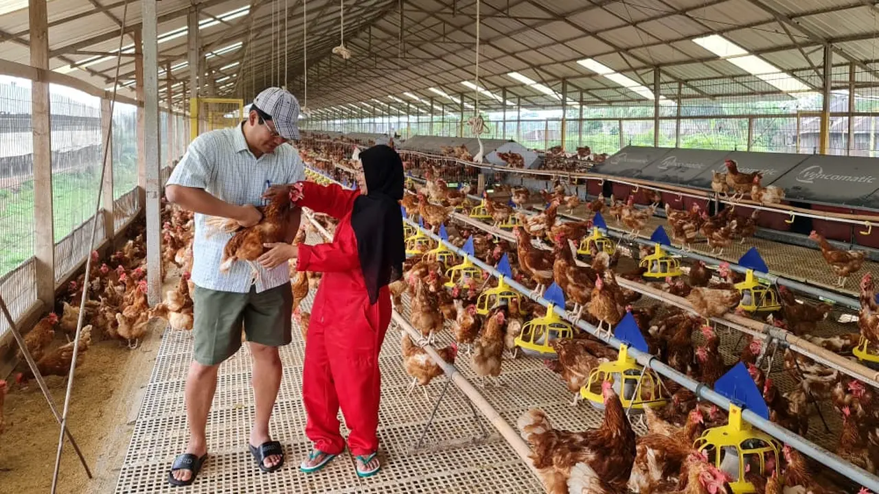 Telur Ayam Free-Range
