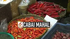 Para emak mensiasati mahalnya harga cabai dengan menyisipkan makanan dengan lada agar tetap terasa pedas. Mereka mengaku bingung dengan melonjaknya harga cabai yang semakin tinggi.