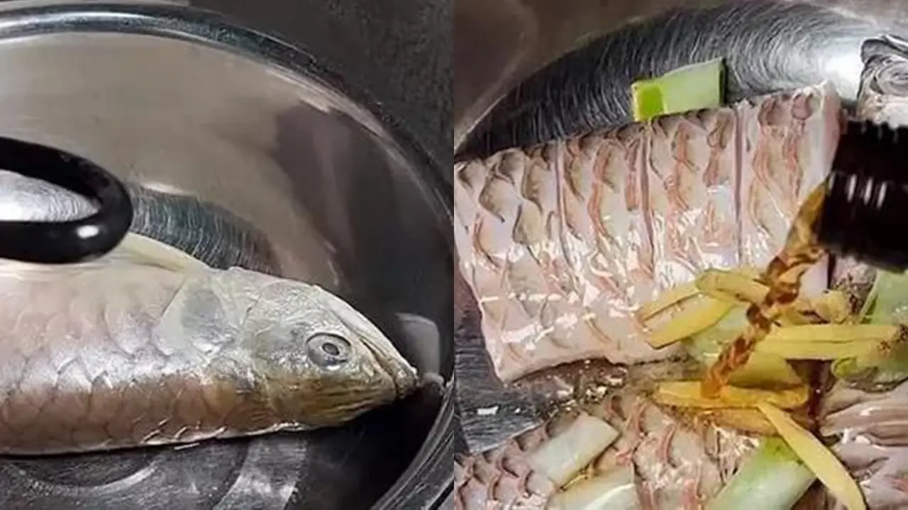 Makan Ikan Arwana Rp 22 Juta