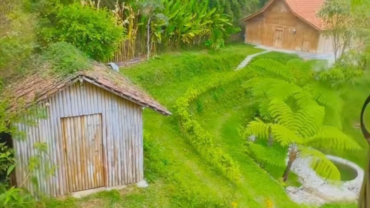 6 Potret Rumah Dodit Mulyanto di Hutan, Punya Lahan Luas dan Asri - Dikelilingi Pohon Pinus