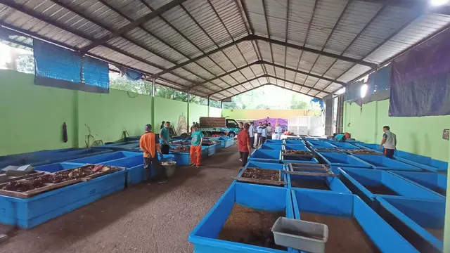 Wali Kota Depok, Supian Suri bersama Wakil DPRD Kota Depok, Yeti Wulandari meninjau pengelolaan sampah di jalan Merdeka, Depok.