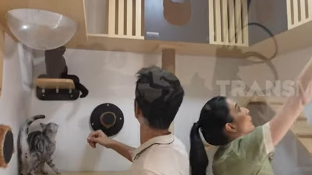 Potret Rumah Mewah Tyas Mirasih, Miliki 24 Kucing Lengkap dengan Kamar Bersalin Khusus Untuk Peliharaannya