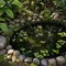 8 Cara Membuat Kolam Mini Natural dengan Lumut dan Batu Kali dari Galon Bekas, Unik untuk Rumah