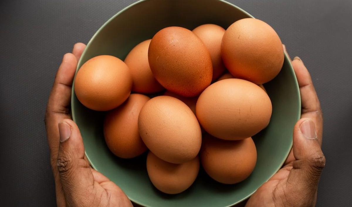 <b>Fakta Unik Telur</b><br>
