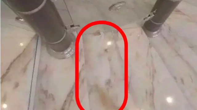 Ilusi optik tebak gambar