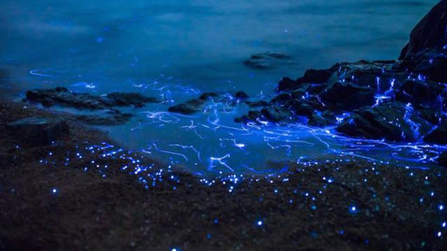 Wisata Unik di Jepang Viral, Batu di Tepi Pantai Bisa Menangis