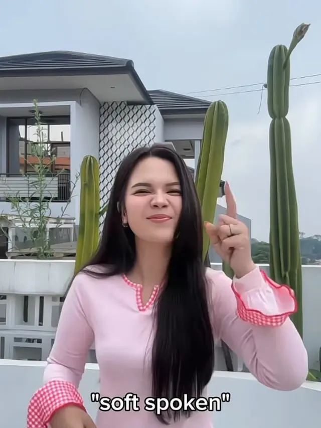 Potret Rooftop Rumah Sinta Keong Racun