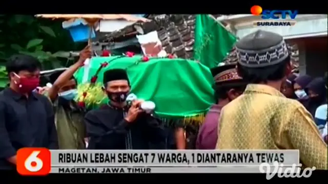Petugas BPBD Magetan, Jawa Timur, akhirnya membasmi dua sarang tawon yang diduga telah menyerang seorang warga, Sumirah (70) hingga tewas.