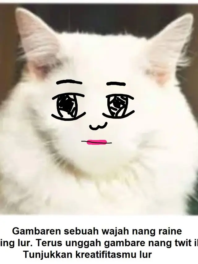 7 Hasil Kreativitas Netizen Menggambar Muka Pada Tubuh Kucing Ini Kocak