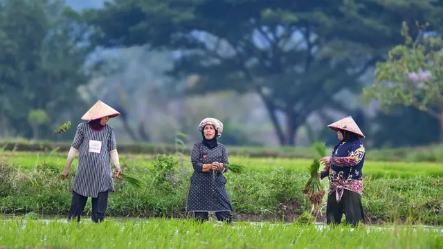 32 Juta Ton Beras, Target Produksi Padi Nasional di 2025