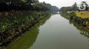 Kondisi Kanal Banjir Timur (KBT) di kawasan Duren Sawit, Jakarta, Kamis (24/8/2023). Musim kemarau yang melanda wilayah DKI Jakarta membuat debit air di KBT surut. (Liputan6.com/Herman Zakharia)