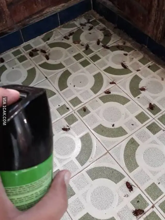 6 Momen Apes saat di Kamar Mandi Ini Bikin Ngelus Dada