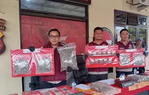 Modus Baru, Ganja Berkedok Frozen Food Dibongkar di Cianjur