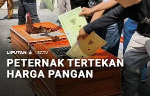 Peternak Tertekan Harga Pakan