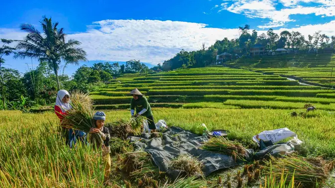 DPR Minta Pemerintah Geser Tolok Ukur Beberhasilan Ekonomi