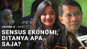Sensus Ekonomi, Ditanya Apa Saja?