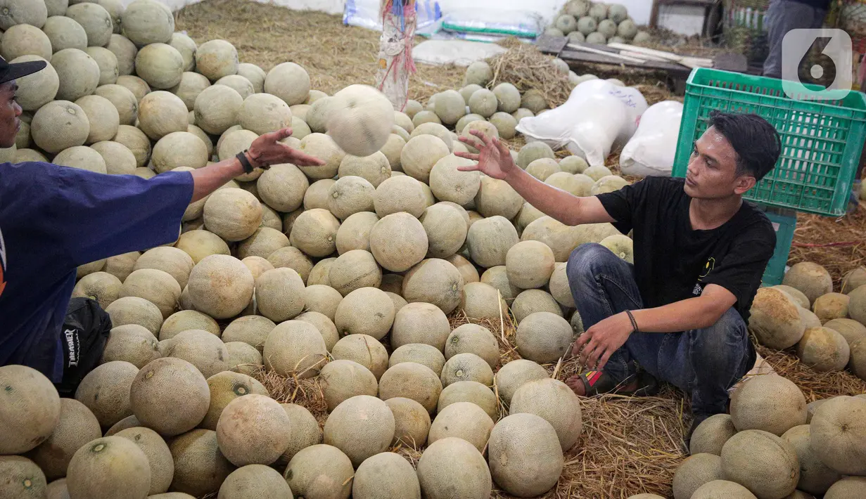 Pedagang menata melon di Pasar Induk Sayur Buah Kramat Jati, Jakarta, Selasa (5/4/2022). Memasuki bulan suci Ramadhan, permintaan buah-buahan mengalami peningkatan untuk diolah menjadi menu berbuka puasa. (Liputan6.com/Faizal Fanani)