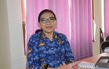 Terungkap! Pemkab Mabar Dampingi Ratusan Kopdes Merah Putih Akses Modal Himbara