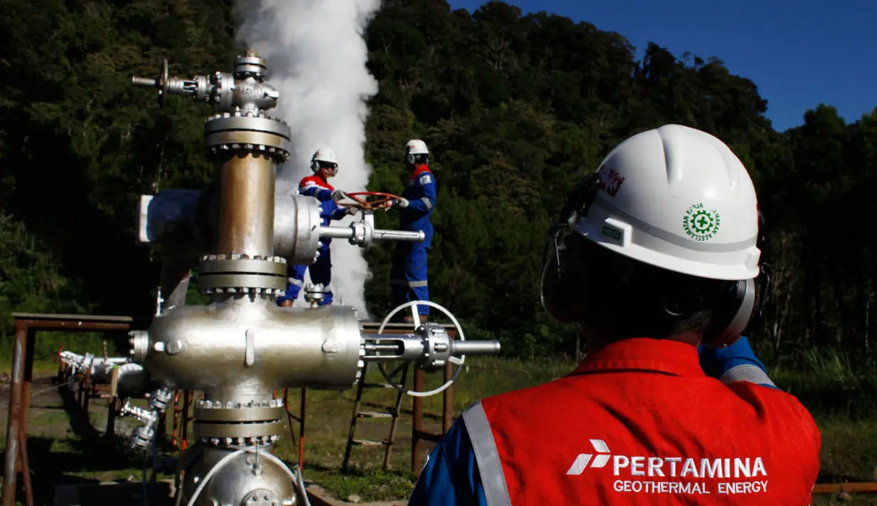 PLTP Karaha merupakan salah satu total project panas bumi Pertamina mulai hulu hingga transmisi dan dijadwalkan mengalirkan listrik ke PLN pada akhir 2016. (REUTERS/Beawiharta)