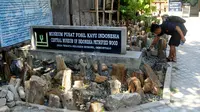 Wisata Bubohu, Destinasi Religi hingga Belajar Fosil Kayu yang Menyenangkan